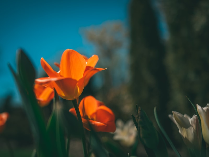 Commercial construction